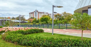 Профессиональное озеленение улиц в Астрахани в октябре
