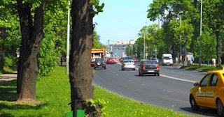 Посадка деревьев и кустарников в Астрахани — стоимость от 1233 руб.